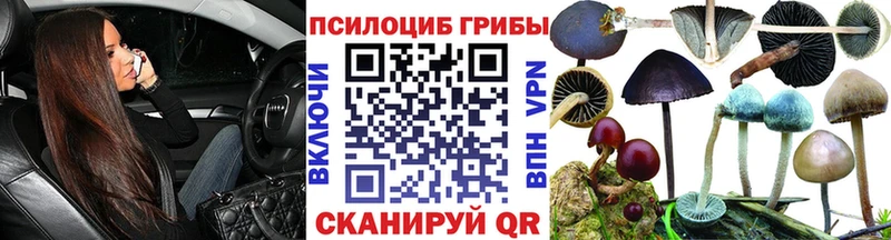 kraken ONION  Абдулино  Псилоцибиновые грибы MAGIC MUSHROOMS 